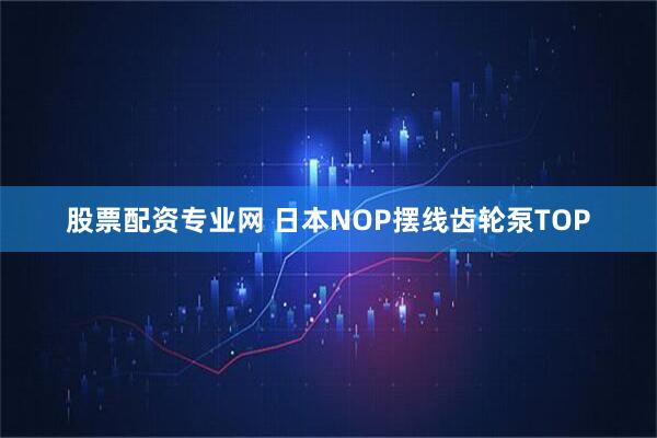 股票配资专业网 日本NOP摆线齿轮泵TOP